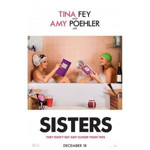Sisters (2015) 27 x 40 Inches Movie Poster